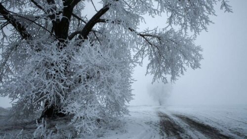 Сегодня в Ереване ожидается снегопад, в горных районах – метель