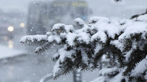 Սպասվում է ձյուն․ առաջիկա օրերի եղանակի կանխատեսումը