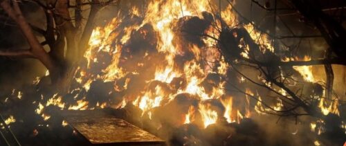 Пожары в Лори и Шираке