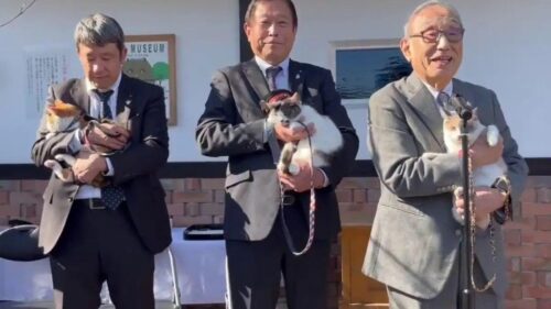 Cat appointed stationmaster in Japan