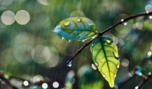 Օդի ջերմաստիճանն աստիճանաբար կնվազի․ առաջիկա օրերի եղանակի կանխատեսումը