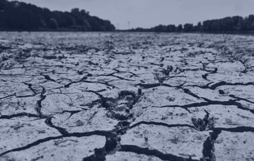 Բնական աղետները Երևանի պատմության մեջ․ մորեխների արշավանքները 1642-1713 թթ.