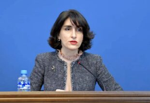 Ոչ ոք չի բացառում այլընտրանքային ուղիների, այդ թվում՝ TRIPP-ի գոյությունը, բայց Վրաստանի մասին չհիշատակելը սխալ է․ Մակա Բոճորիշվիլի