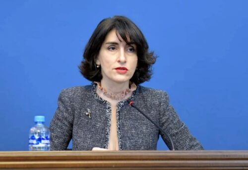 Ոչ ոք չի բացառում այլընտրանքային ուղիների, այդ թվում՝ TRIPP-ի գոյությունը, բայց Վրաստանի մասին չհիշատակելը սխալ է․ Մակա Բոճորիշվիլի