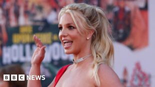 Բրիթնի Սփիրսը վաճառել է իր ամբողջ երաժշտական ​​կատալոգի իրավունքները