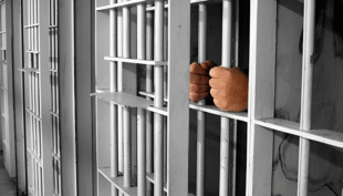 Ընդդիմադիր պատգամավորը եղել է «Վարդաշեն» ու «Նուբարաշեն» ՔԿՀ-ներում