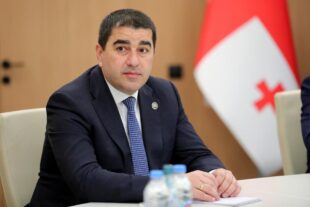 ԵՄ-ը պետք է հրաժարվի Վրաստանում կառավարությունը տապալելու փորձերից․ խորհրդարանի խոսնակ