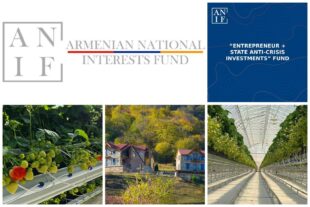 ԱՆԻՖ-ի «ժառանգությունը». 9 մլն դոլարի վերադարձը փորձություն է դարձել պետության համար․ «Հետք»