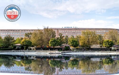 «Արմենիա» ԲԿ-ի բժշկուհին 2022-2023-ին օժանդակել է ազգականին՝ երիկամն ապօրինի իրացնելուն