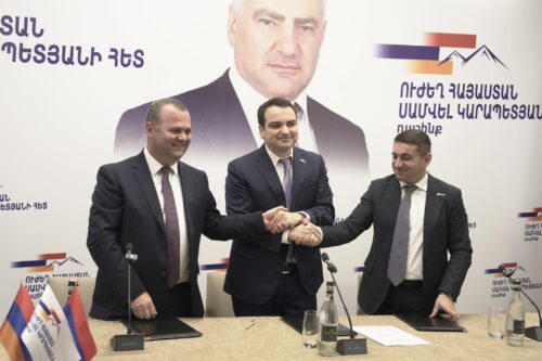 Партия «Сильная Армения» примет участие в предстоящих парламентских выборах в составе альянса