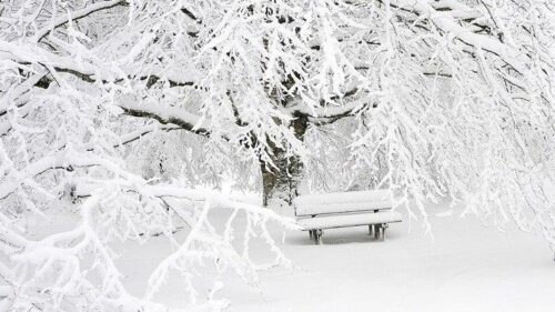 Հայաստանի մի շարք հատվածներում ձյուն է տեղում