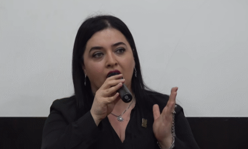 Մի քանի անգամ փորձել ենք դատի տալ մարդկանց, որոնք արցախցիներին թիրախ են դարձնում, բոլոր փորձերը մերժվել են․ Նարե Սիմոնյան