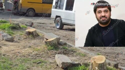 Հայտնի է, թե ով է ապրիլի 24-ին ծառերի սպանդ կատարած անձը