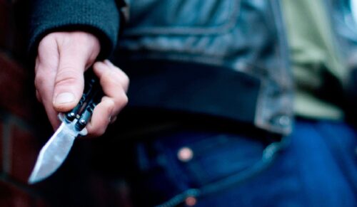 Մրգաշենում սպանությունը եղբայրներ են կատարել, մեկն անչափահաս է․ ՔԿ-ն մանրամասներ է հայտնել