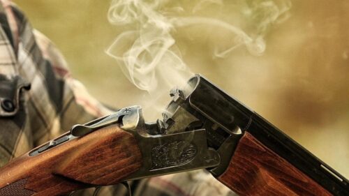 Աթենքում 89-ամյա տղամարդը հորսորդական րացանով ներխուժել է շենքեր ու կրակել մարդկանց վրա