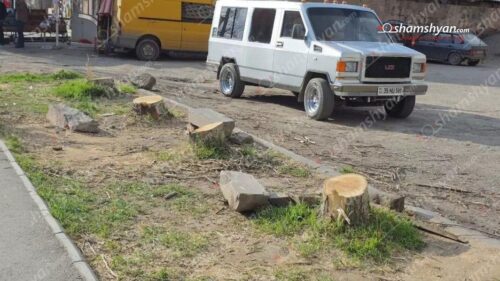 Ծառերի համատարած սպանդ Արմավիր քաղաքում