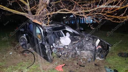 Ընկերս ինձ մերժեց․ 15-ամյա աղջիկը միտումնավոր բախվել է ծառին․ Shamshyan.com