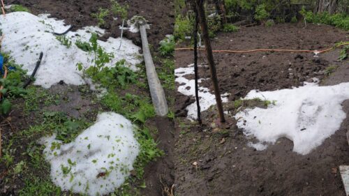 «Պտուղ չի մնացել, ամեն ինչ հողին է հավասարվել»․ ուժգին անձրև ու կարկուտ՝ Ալավերդիի գյուղերում