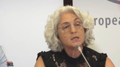 Պետական աշխատողների վրա ճնշումները՝ մասնակցելու իշխող կուսակցության կազմակերպած միջոցառումներին, մեծ մտահոգություններ են առաջացնում․ ԵԱՀԿ ԺՀՄԻԳ դիտորդ