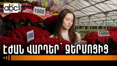 Եվրոպա չհասած վարդեր, էժան փնջեր ու տուժած ջերմոցատերեր