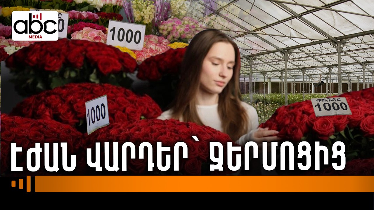 Եվրոպա չհասած վարդեր, էժան փնջեր ու տուժած ջերմոցատերեր Եվրոպա չհասած վարդեր, էժան փնջեր ու տուժած ջերմոցատերեր