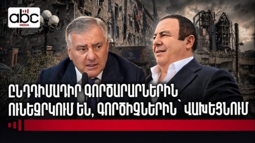 Ծառուկյանը չունի «Մուլտի Վելնեսը», «ԱրարատՑեմենտը», «Արարատ» կոնյակի գործարանը, Կարապետյանը՝ ՀԷՑ-ը
