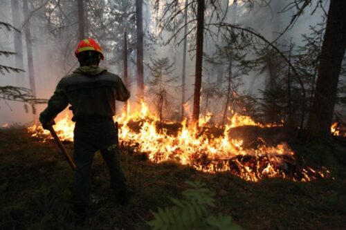 850 firefighters battle forest fire near Paris