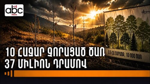 Նուբարաշենի անտառշերտի ծրագրի ձախողումը