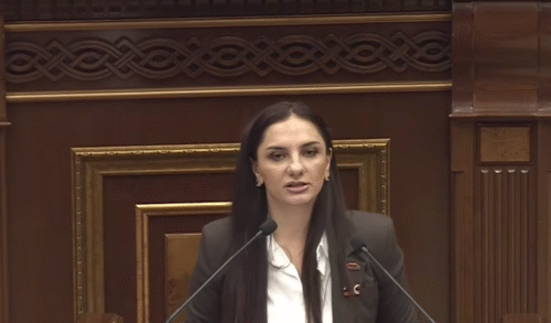 Չեղարկե՛ք ընտրության արդյունքները, եթե գեթ մեկ պատգամավոր այստեղ ընտրակաշառքով է հայտնվել․ Արեգա Հովսեփյան