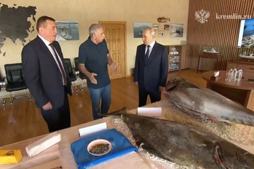 Տոկիոյում ՌԴ դեսպանը կանչվել է ԱԳՆ՝ Պուտինի՝ Կուրիլյան կղզիներ այցի պատճառով