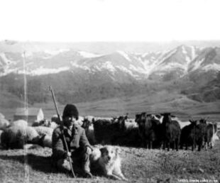 Քարից երեխա էին խնդրում, ժայռից՝ անձրև․ Վարանդայի հին հավատալիքները
