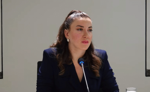 Ռուբեն Վարդանյանի զանգը հարկադրաբար ընդհատվել է․ Սիրանուշ Սահակյան