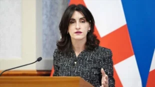 МИД Грузии: Южный Кавказ является важной частью политической карты, в том числе в контексте европейской безопасностиpx
