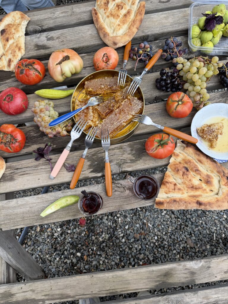 «Ցավը զգում եմ, բայց բառերը չեմ հասկանում»․ հանդիպում` Սասունում ապրող հայերի հետ