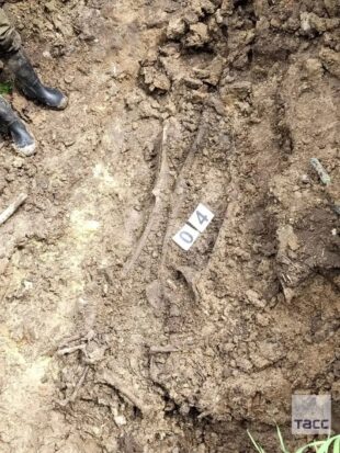 Լենինգրադի մարզում հայտնաբերվել է Հայրենականի տարիների եղբայրական գերեզման (լուսանկարներ)
