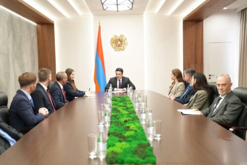 ԱԽ քարտուղարն ընդունել է Save Armenia» կազմակերպության ներկայացուցիչներին